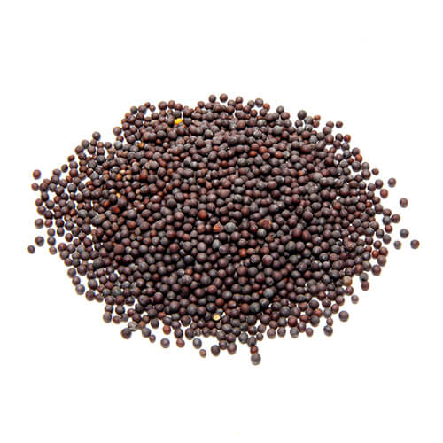 Mustard seeds