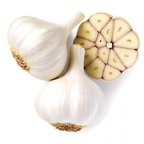 garlic