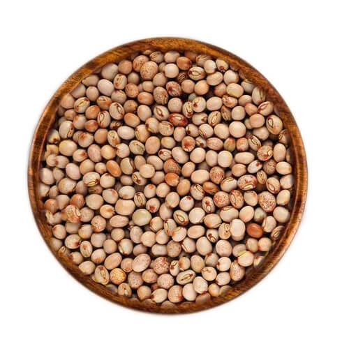 Pigeon pea